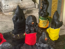 Planeten Indien  